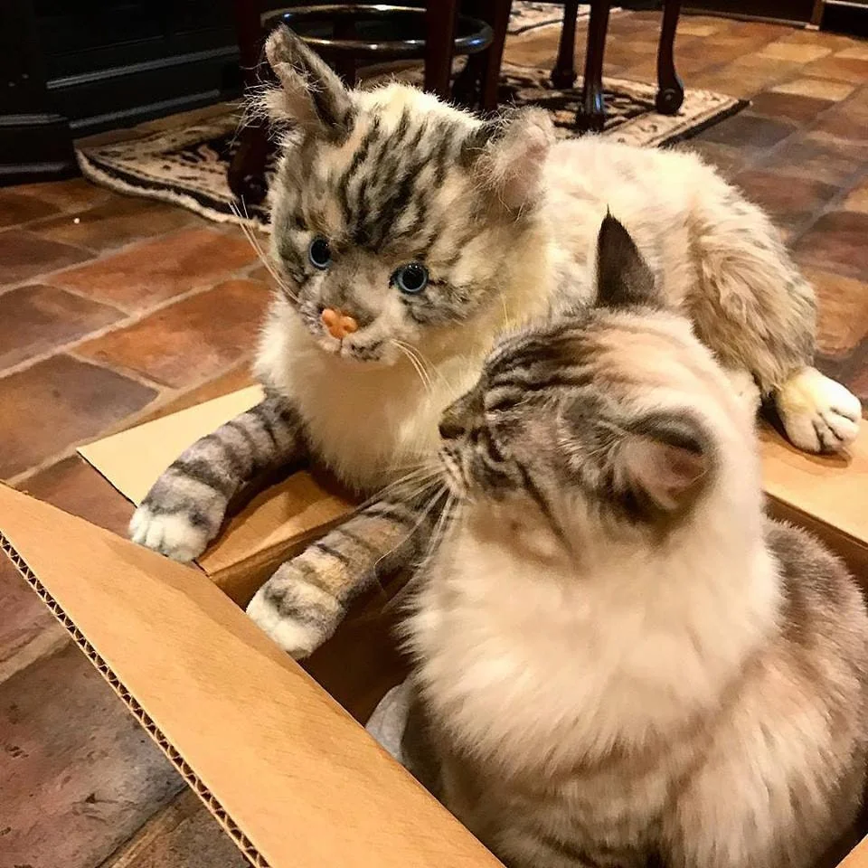 Petsies screenshot 6 of 12