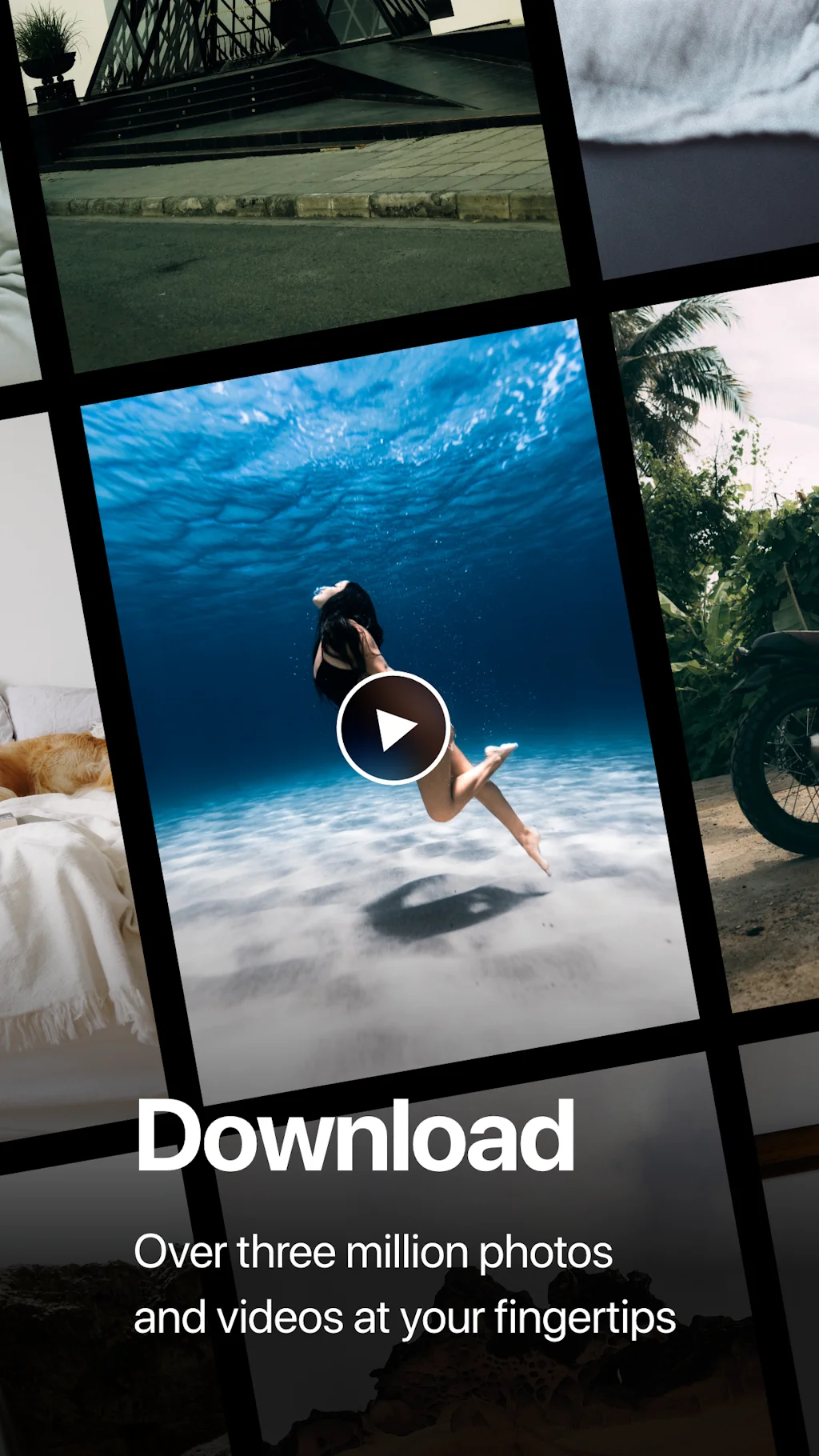 Pexels screenshot 2 of 3