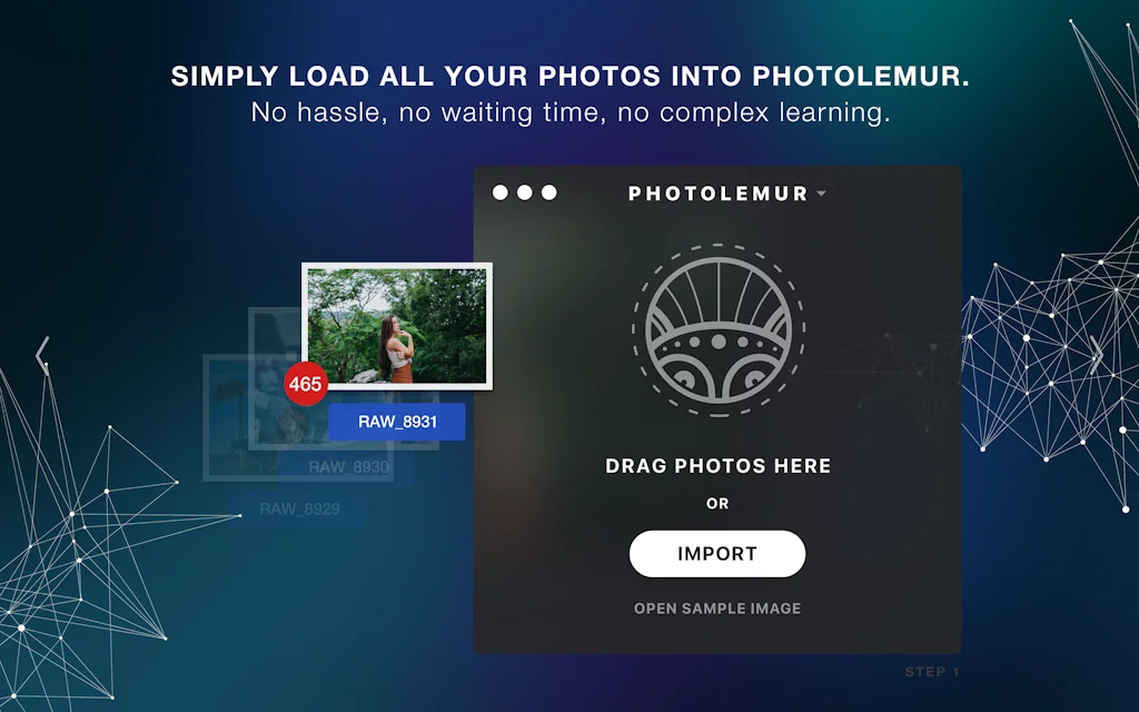 Photolemur screenshot 4 of 6