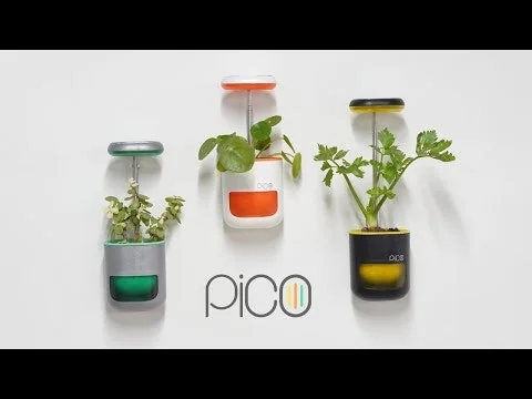 Pico screenshot 1 of 8