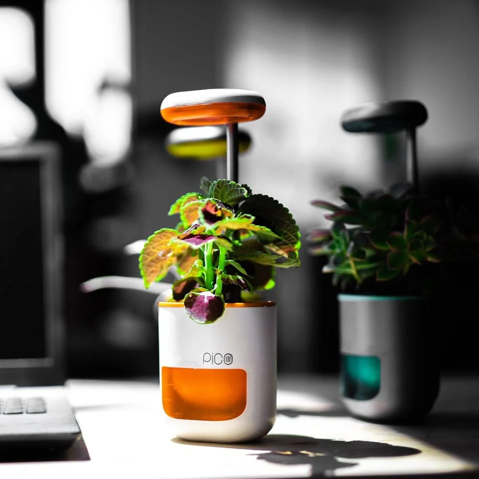 Pico screenshot 3 of 8