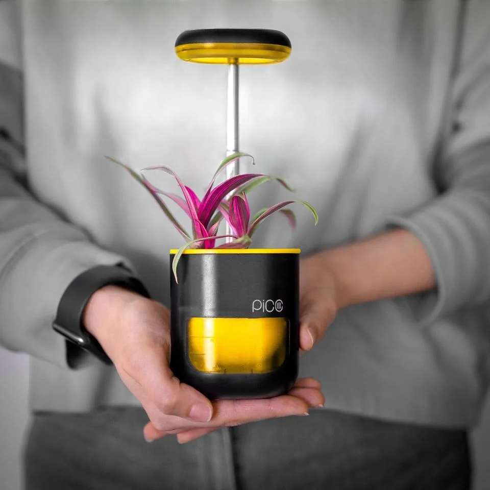 Pico screenshot 4 of 8