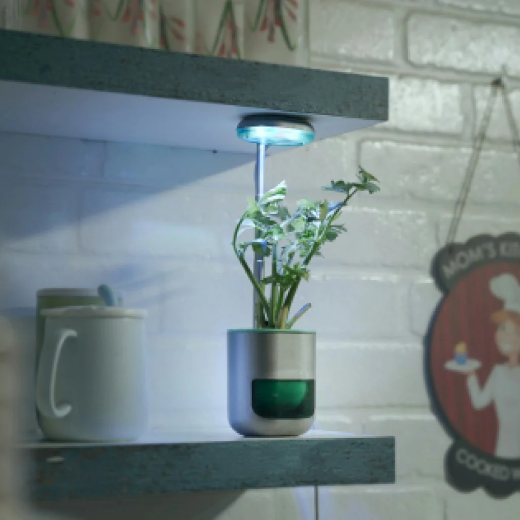 Pico screenshot 5 of 8