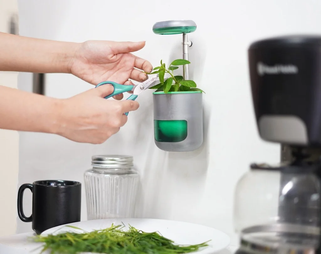 Pico screenshot 6 of 8