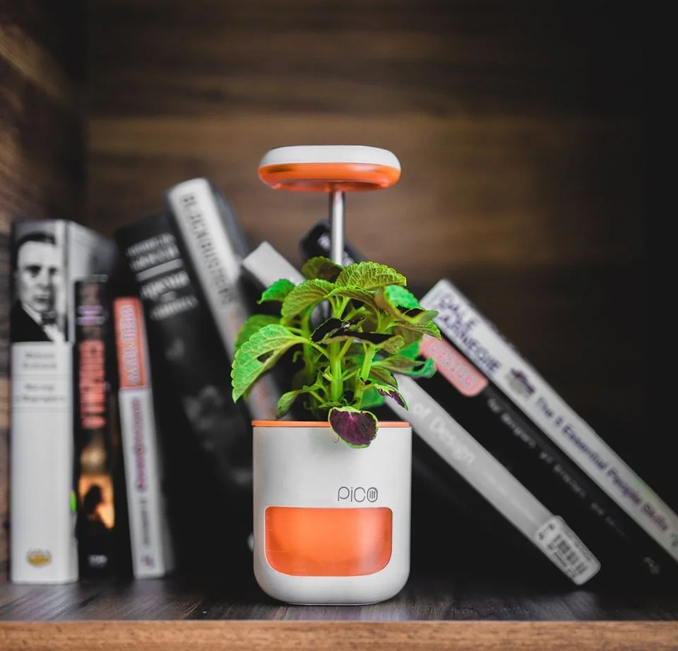 Pico screenshot 7 of 8