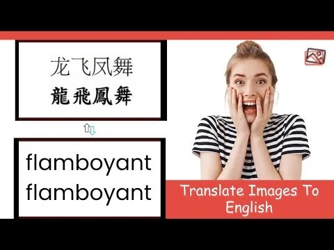 Picture Translate screenshot 4 of 4