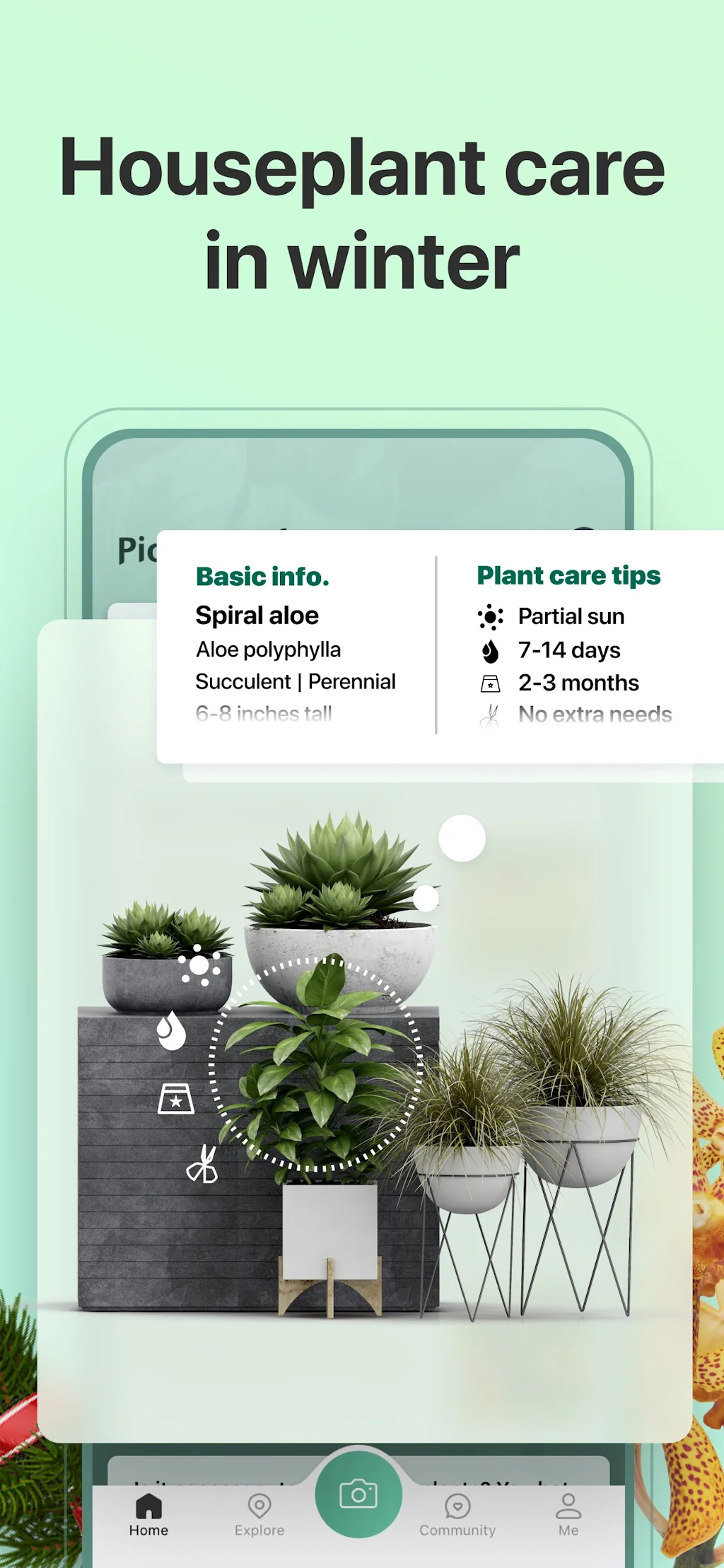 PictureThis screenshot 5 of 10