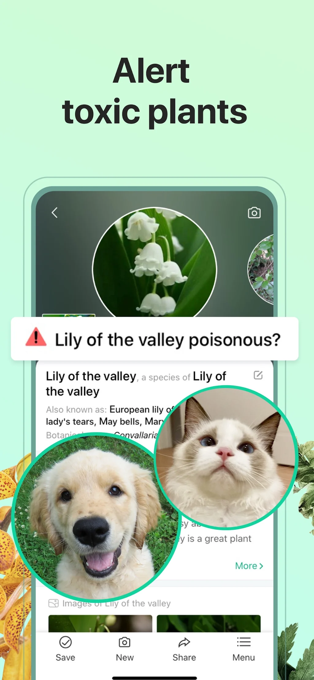 PictureThis screenshot 6 of 10