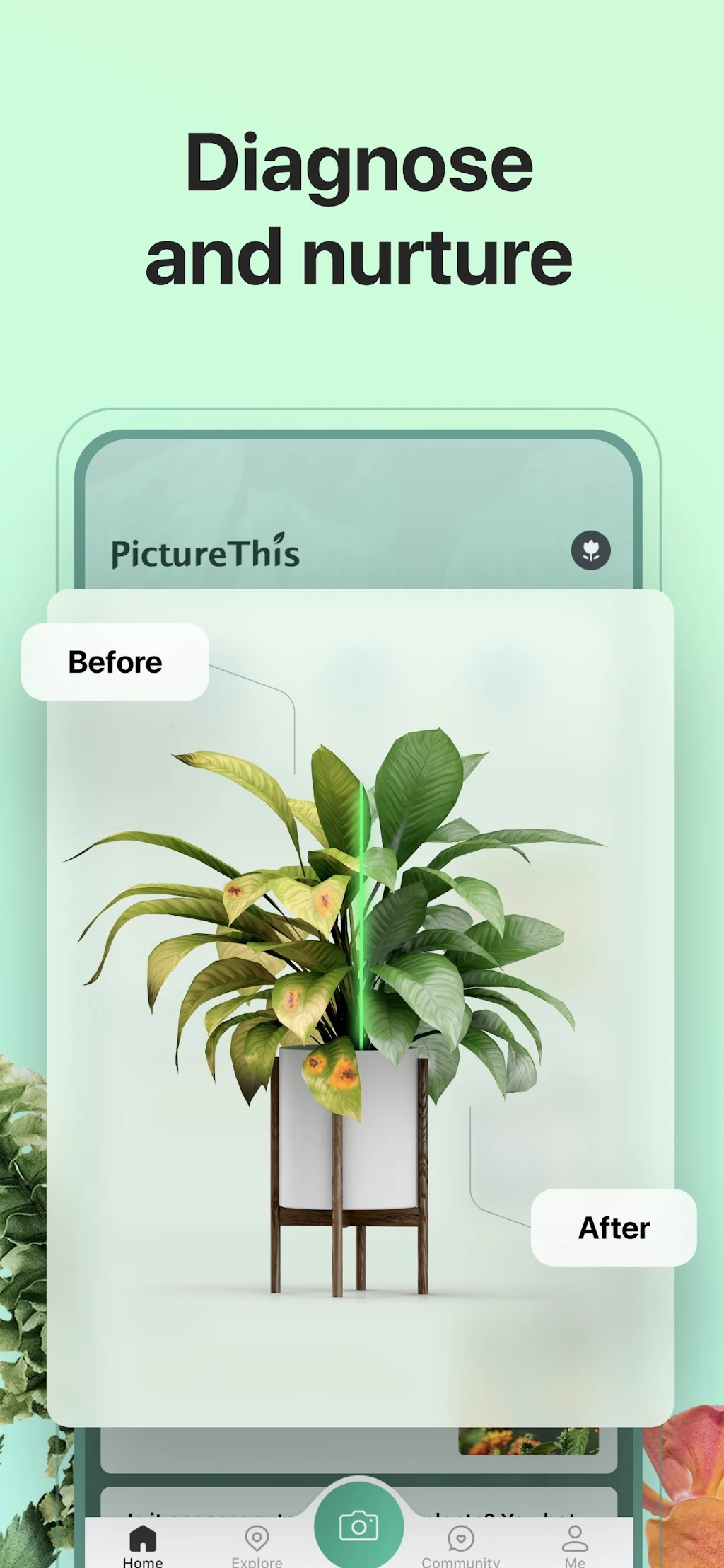 PictureThis screenshot 7 of 10