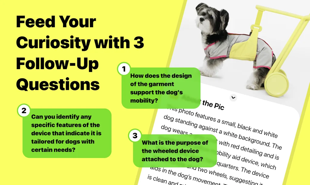 Picurious AI screenshot 7 of 7