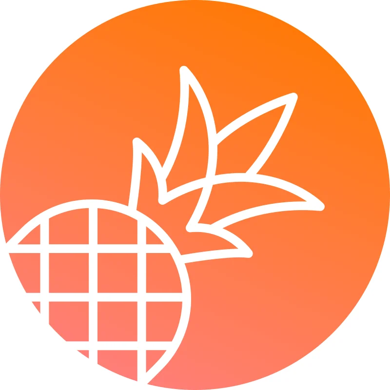 Pineapple Builder logo