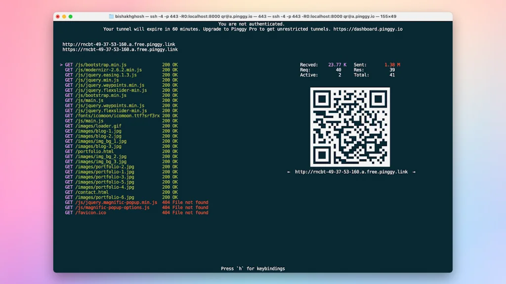Pinggy screenshot 3 of 4
