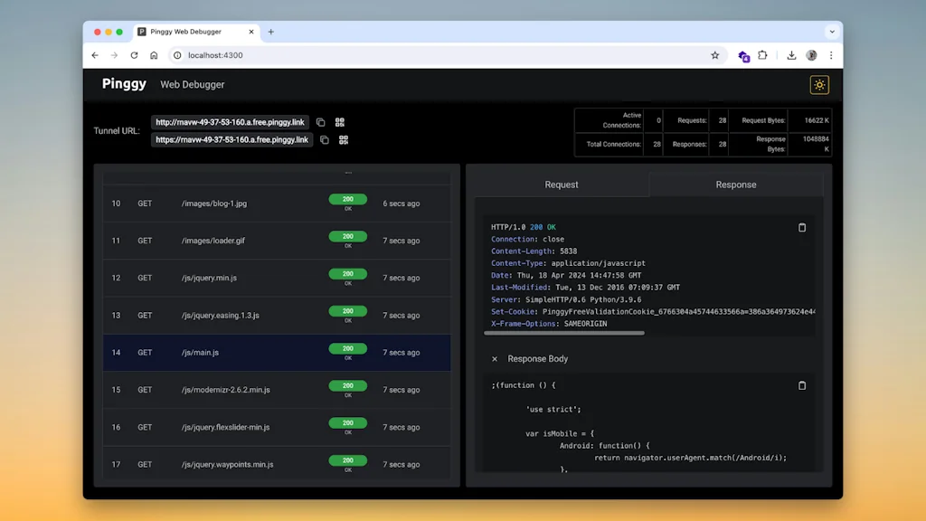 Pinggy screenshot 4 of 4