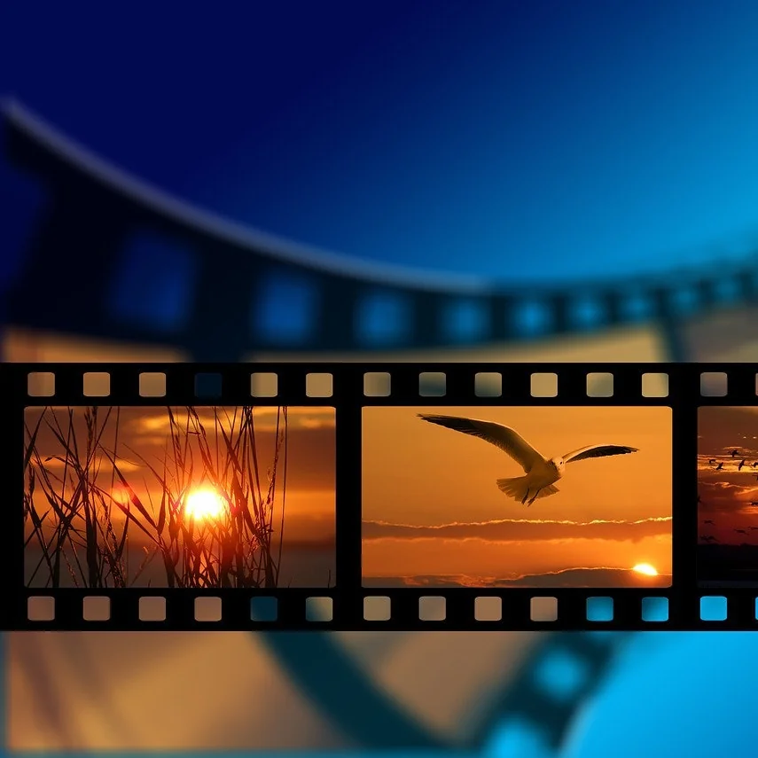 Pixabay 2.0 screenshot 8 of 8