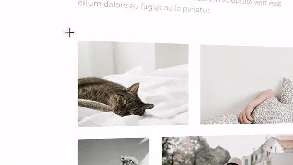 PixelSnap screenshot 2 of 6
