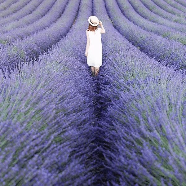 Plotagraph screenshot 1 of 3