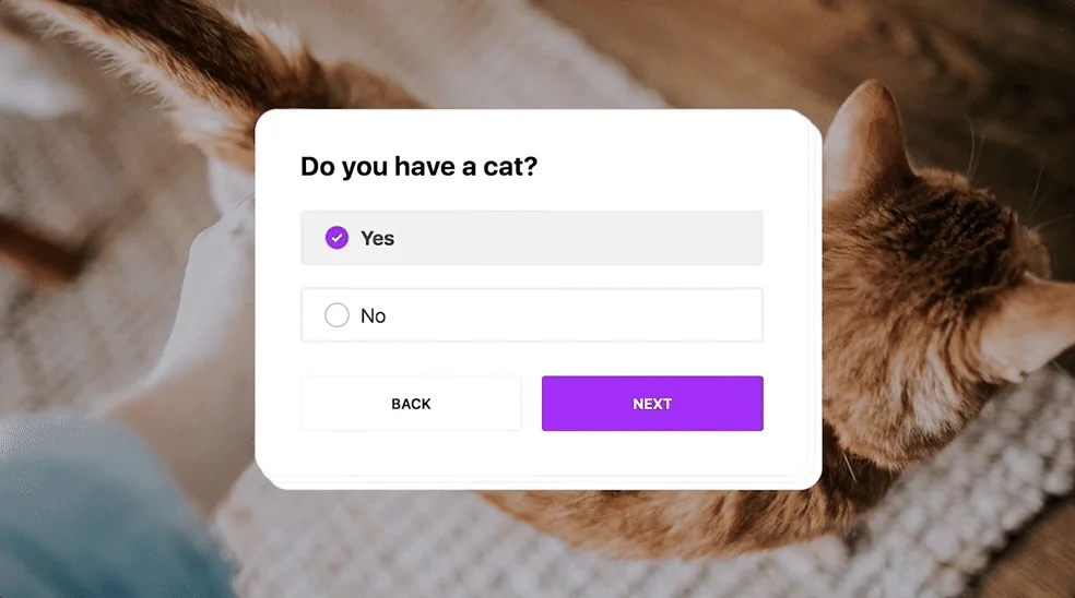 Ship by Product Hunt screenshot 4 of 6