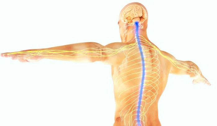 Pulsetto screenshot 4 of 7