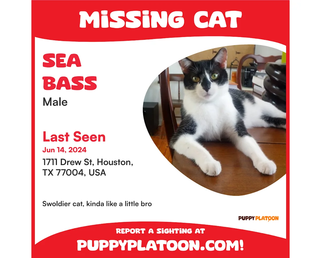 Puppy Platoon screenshot 3 of 4