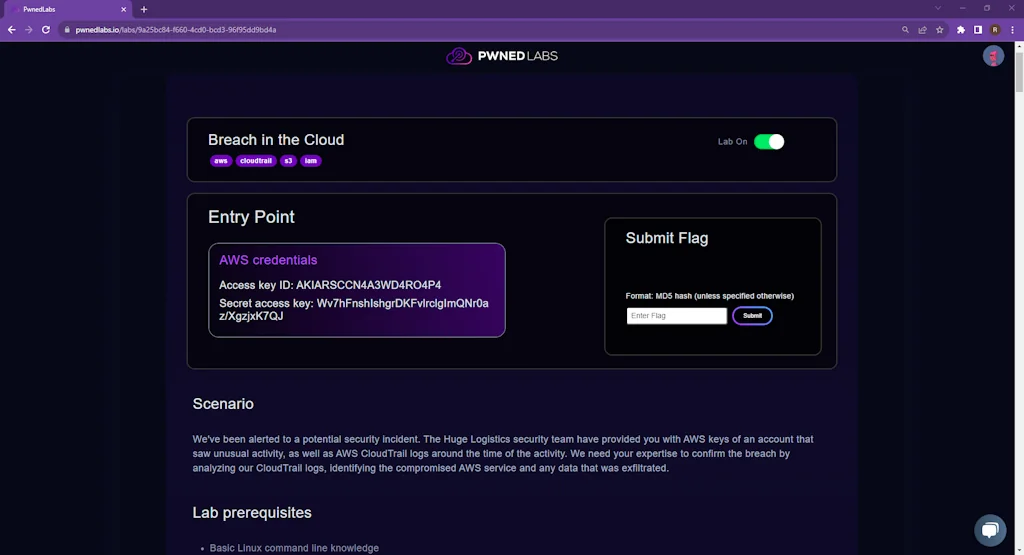 Pwned Labs screenshot 3 of 3