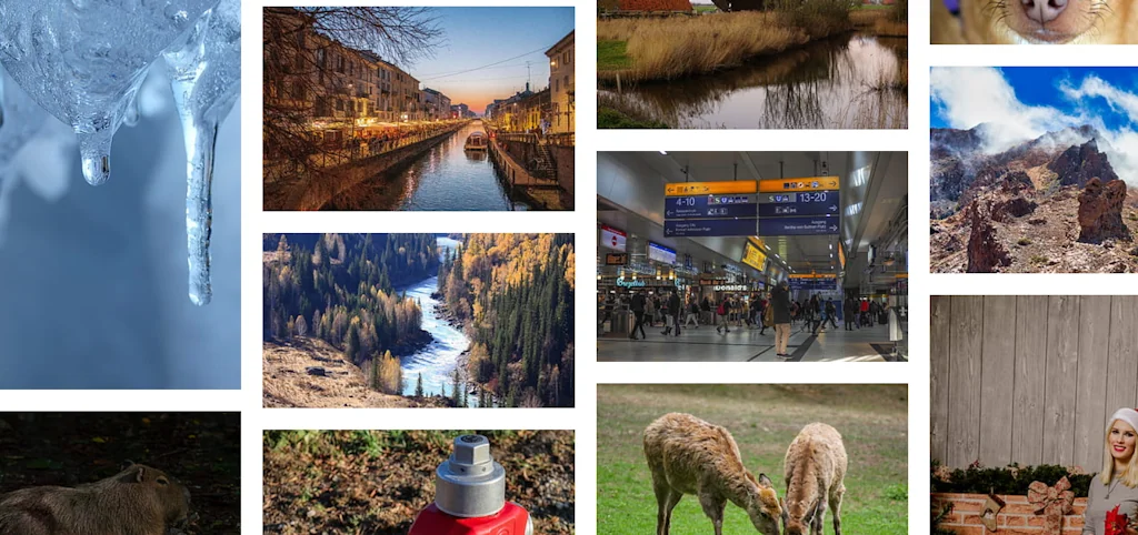 Pxfuel screenshot 2 of 4