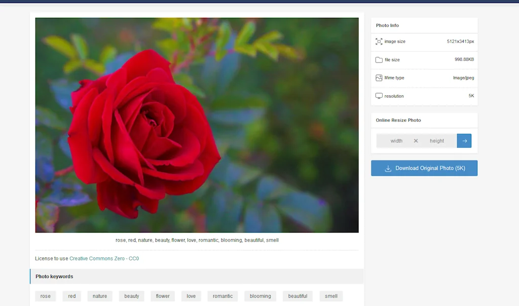 Pxfuel screenshot 3 of 4