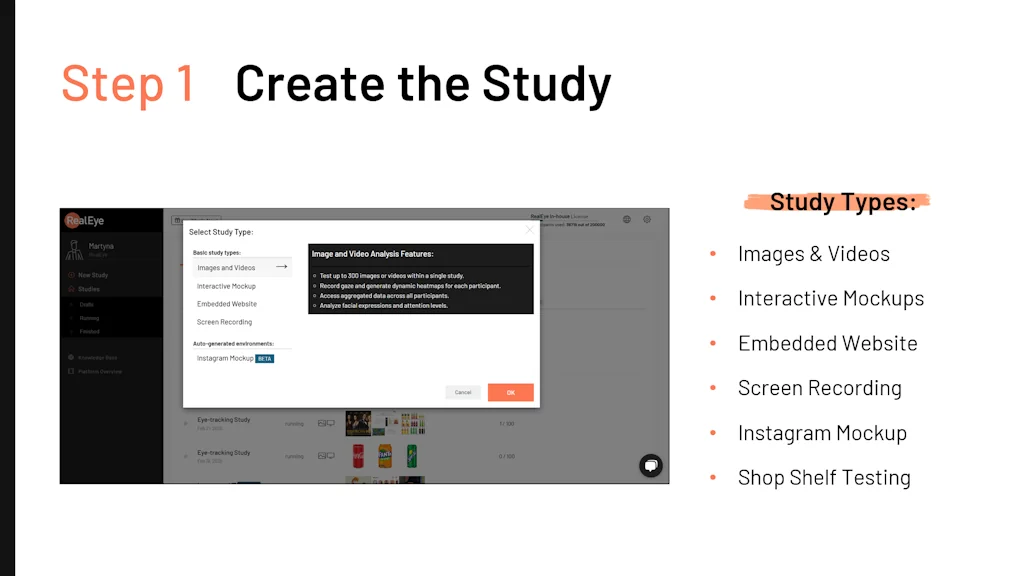 RealEye.io screenshot 3 of 3