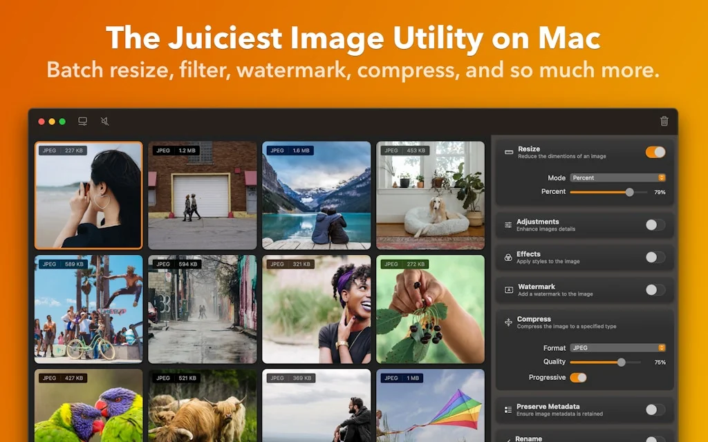 Realmac Software screenshot 2 of 8