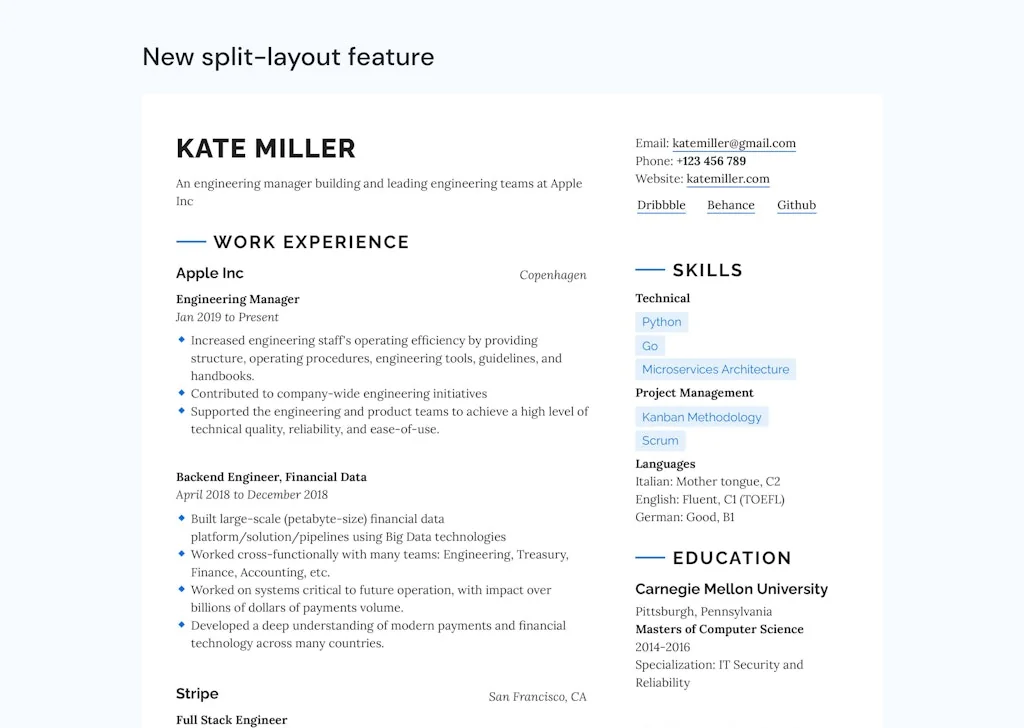 Resumey.Pro screenshot 2 of 5