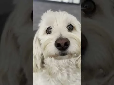 Roots screenshot 10 of 10