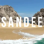 Sandee logo