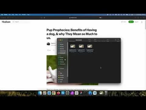 Save Image as Type - Safari Extension screenshot 4 of 4
