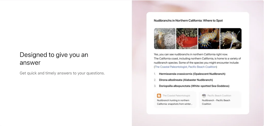 SearchGPT Prototype screenshot 2 of 7
