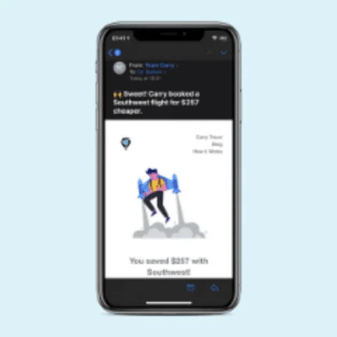 Should You Fly During Coronavirus? logo