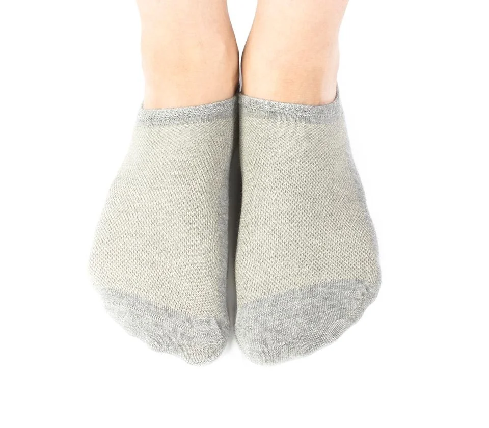 SilverSocks 2.0 logo