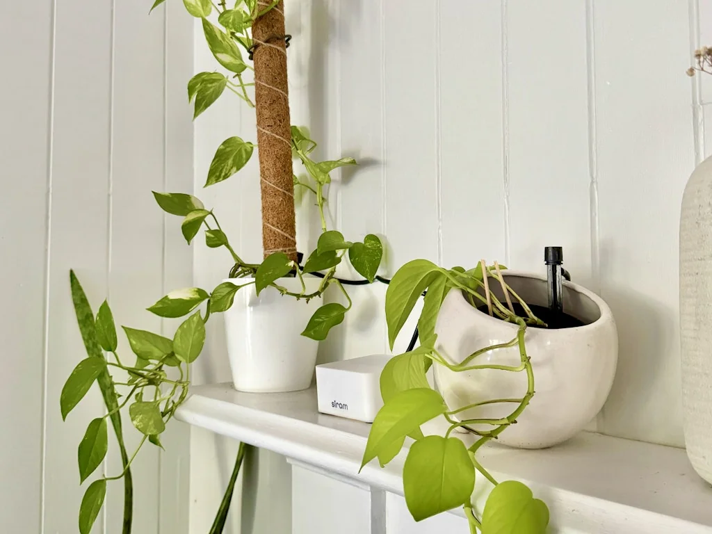 Siram screenshot 2 of 3