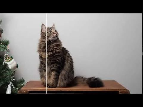 Slazzer screenshot 1 of 5