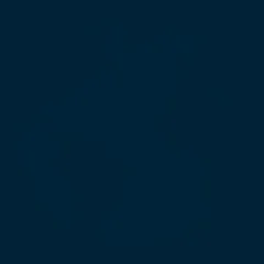 Snap Search 2.0 logo