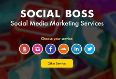 SocialBoss.org logo