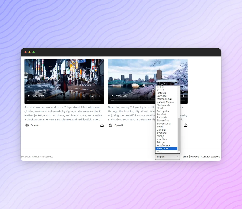 SoraHub screenshot 3 of 3
