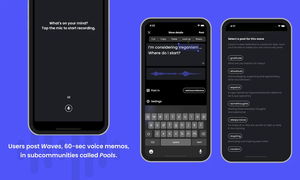 Soundwave screenshot 2 of 5