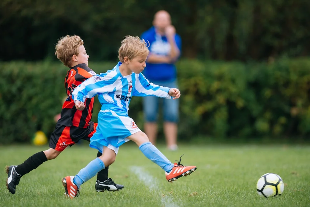 Splento screenshot 12 of 12