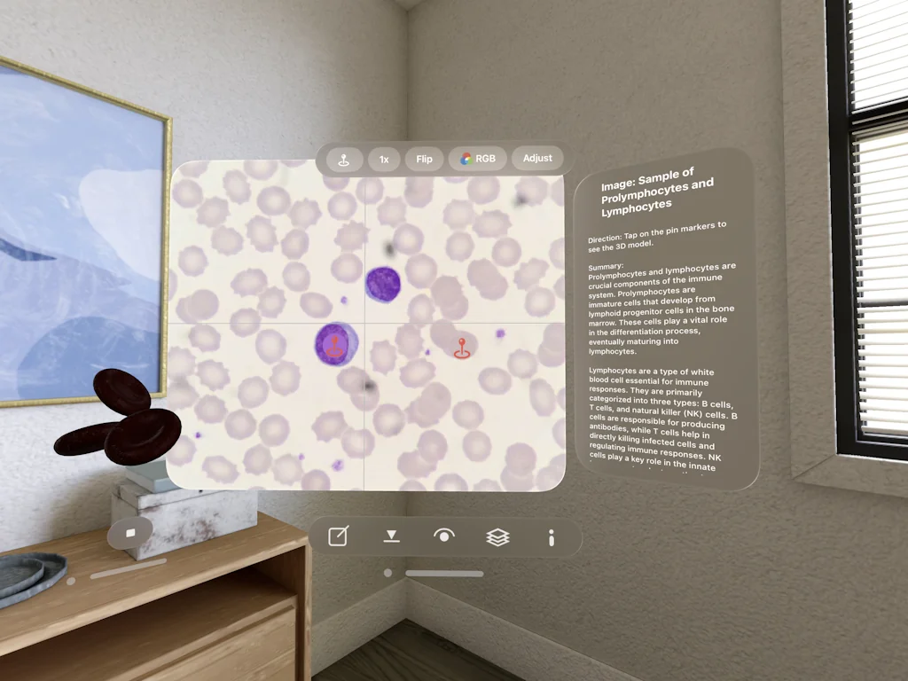 Sscopy screenshot 3 of 4