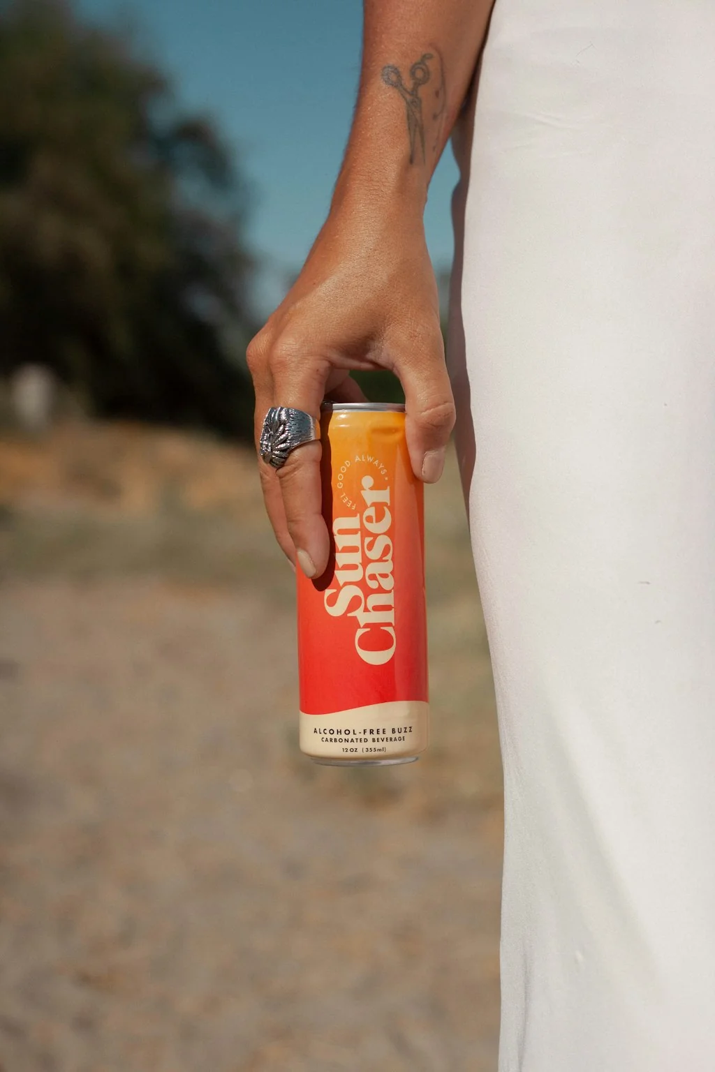 Sun Chaser screenshot 10 of 10