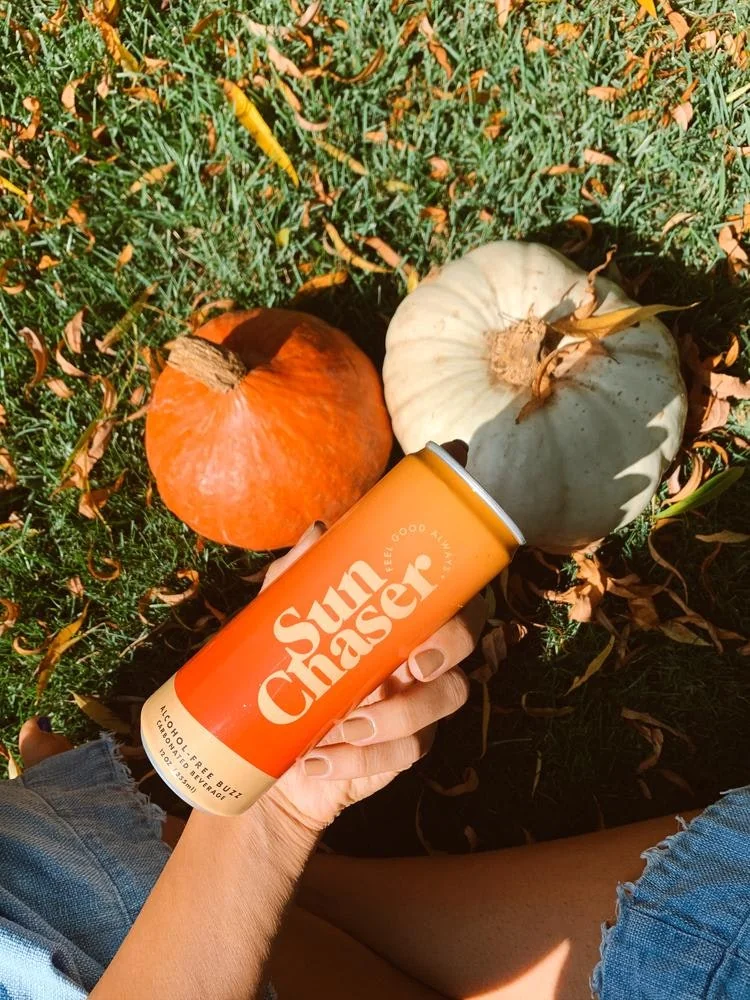 Sun Chaser screenshot 7 of 10