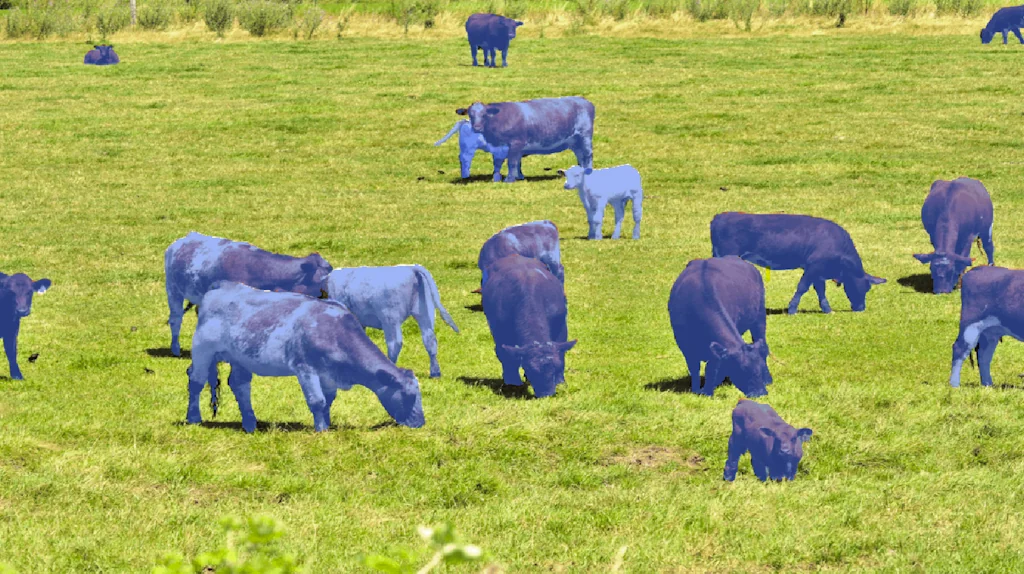 T-Rex Label screenshot 2 of 6