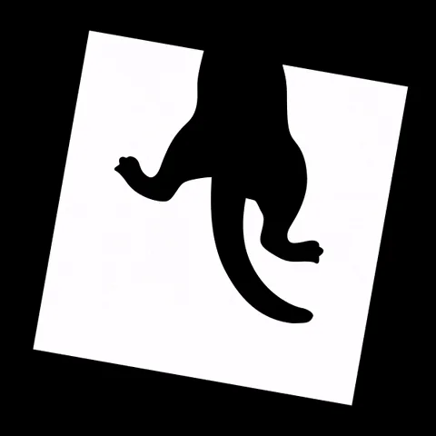 Tails & Frames logo