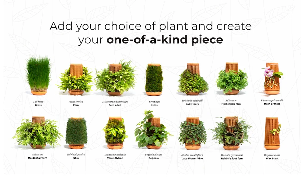 terraplanter screenshot 10 of 10