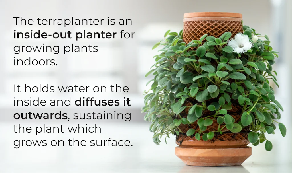 terraplanter screenshot 3 of 10