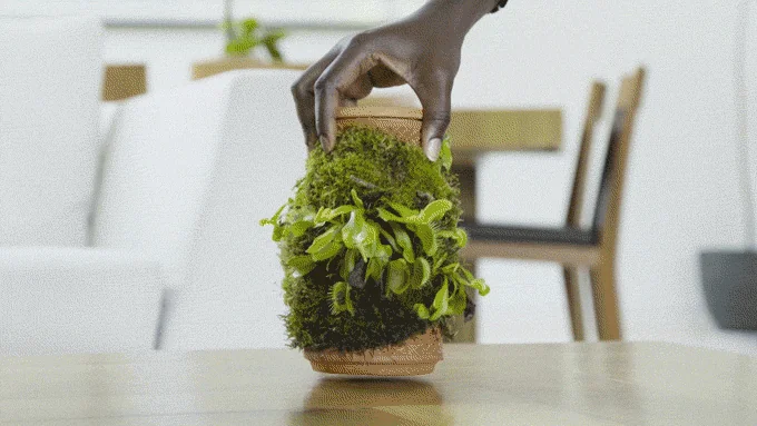 terraplanter screenshot 5 of 10